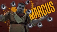 Marcus splash