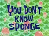 You-Don't-know-Sponge