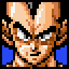 SSDVegeta2