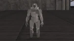 Chiefstatue