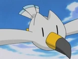 EP294 Wingull