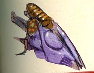 39