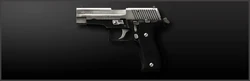 Main p226 silver