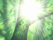 Flash bomb 2