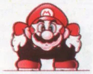 MarioCrouch