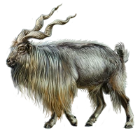 Huge item markhor 01.png