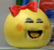 Grapefruits Sister