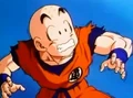 Krillin14