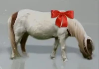 Wii Pony