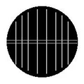 The-Cell