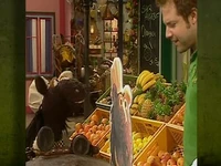 Folge2556-2