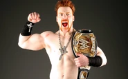 WWE Championship/Champion gallery