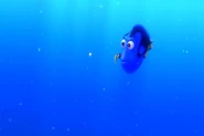 Findingnemo0552