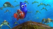 Findingnemo0706