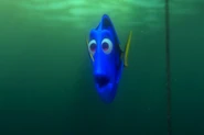 Findingnemo0971