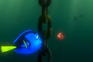 Findingnemo0988