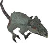 Giant rat old