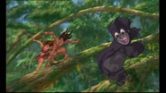 Tarzan 933