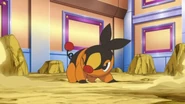 EP665 Tepig despues de recibir lanzallamas