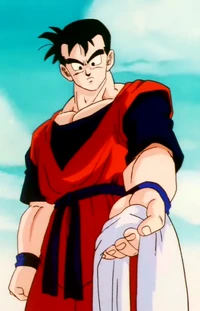 Future Gohan
