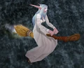 Flying Broom.png