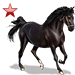 Item palermohorse ruby 01