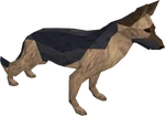 Dog (NPC)