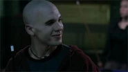 Bald