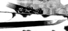 Black sabre