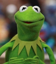 Kermit1
