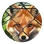 Trapping (Civ5)