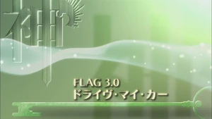 Flag 3.0