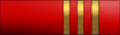 Sleeve insignia.