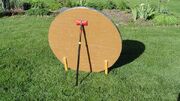 Cardboard-backed dish