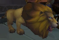 Akhet Lion