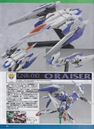 HG 0 Raiser