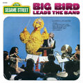 120px-Album.bigbirdband.jpg