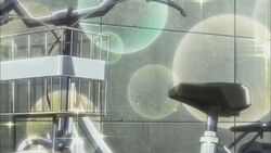 Keima's Bicycle