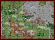 Fog in Flash Client