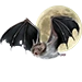 Item vampirebat 01