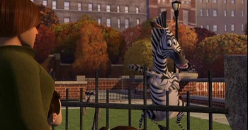 Zebra 6