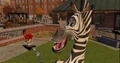 Zebra 8.jpg