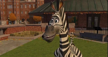 Zebra 11