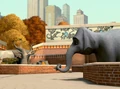 Elephant 3.jpg