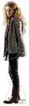 Dhposter HermioneGranger.jpg