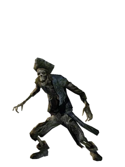 Potco skeleton d