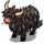 Black Highland Cow