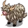 White Highland Cow