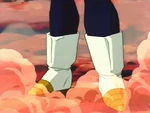 VegetaFBSep222-04