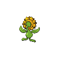 Sunflora espalda G5